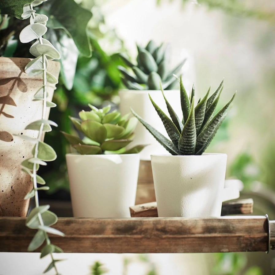 Artificial Plants